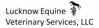 &nbsp; Lucknow Equine Veterinary Services
